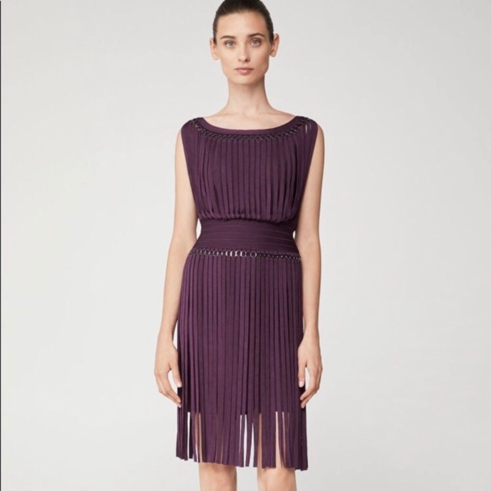 Herve Leger Fringe Dress